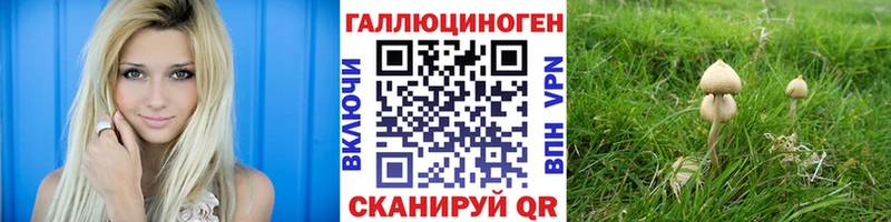 Псилоцибиновые грибы MAGIC MUSHROOMS  Купить где  Черемхово 